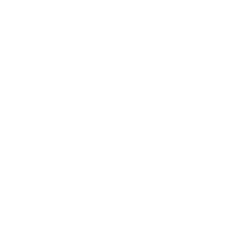 wellness education icon