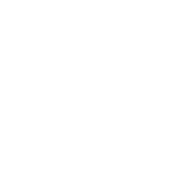 shopping cart icon